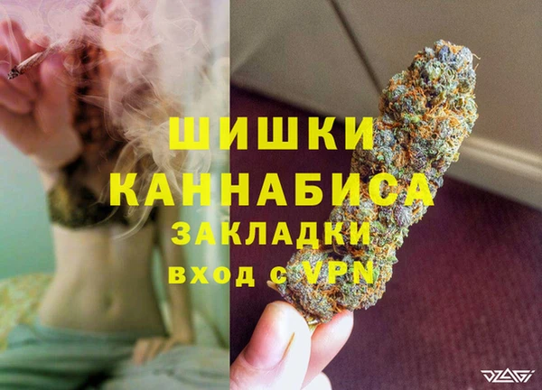 тгк Каменногорск