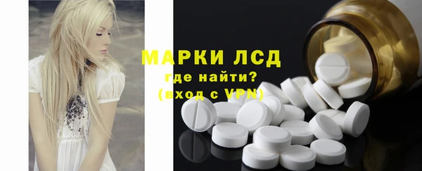 тгк Каменногорск