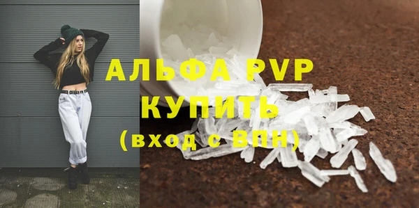тгк Каменногорск