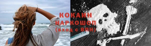тгк Каменногорск