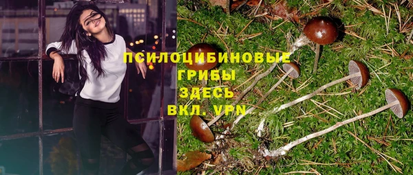 MESCALINE Каменск-Шахтинский