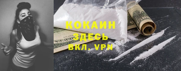 соль курить ск Каменка